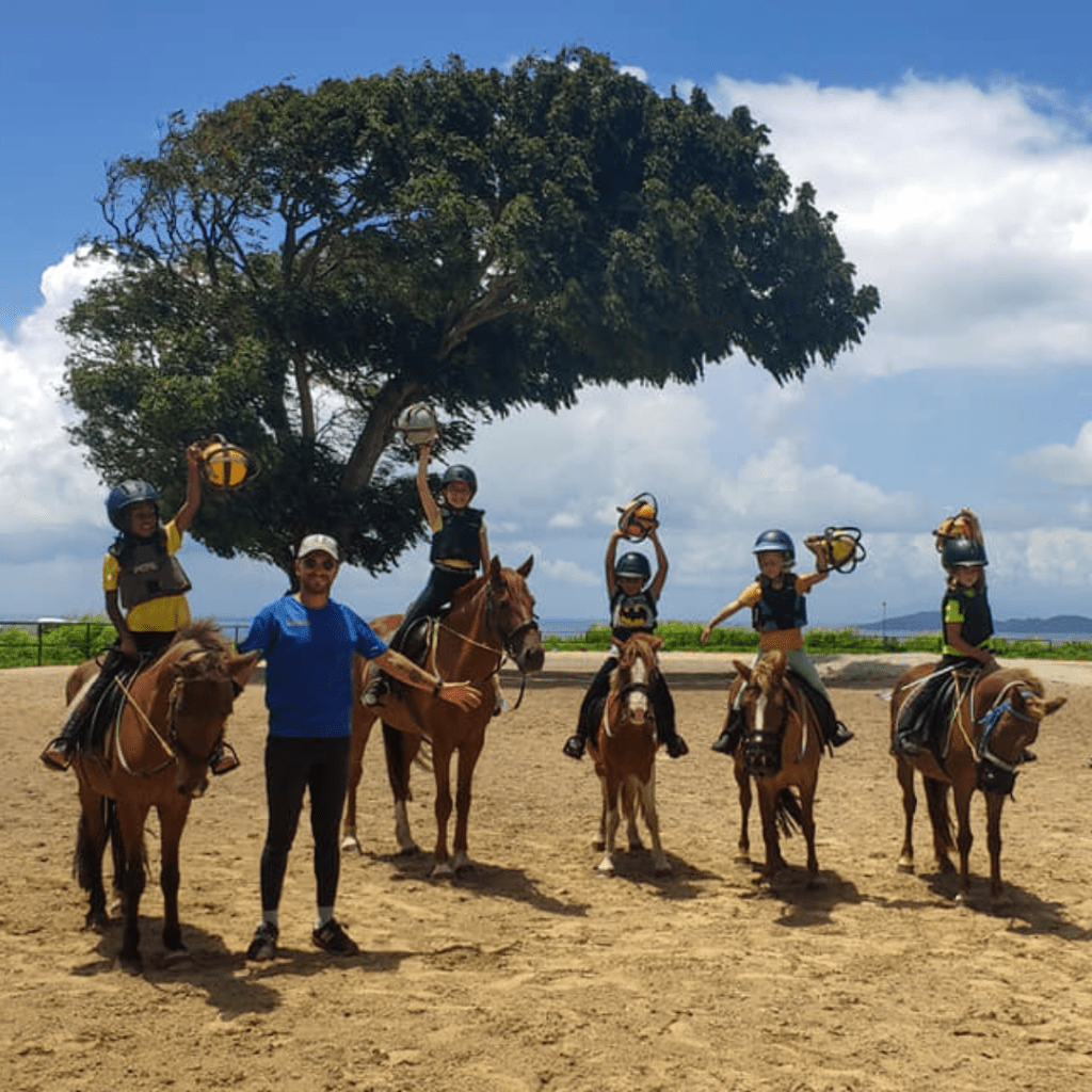 Titre professionnel ANIMATEUR EQUESTRE